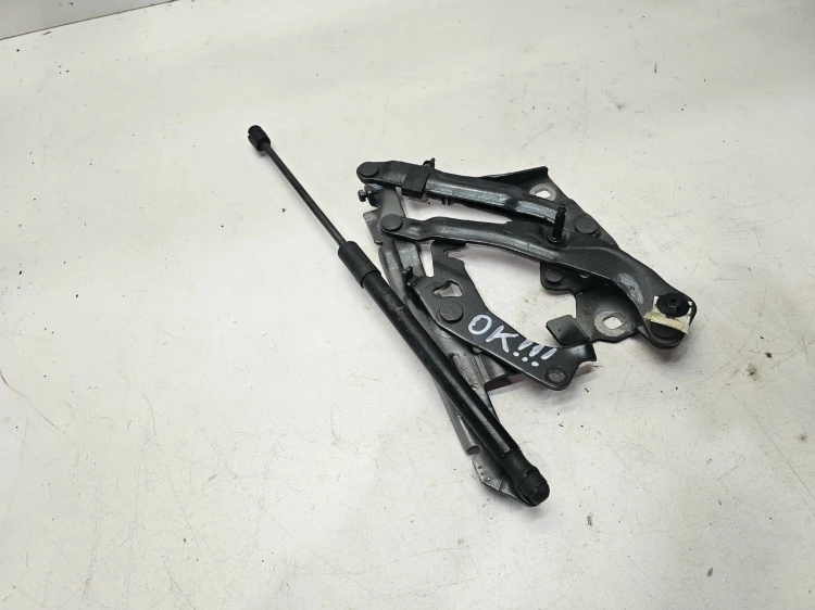 ZAWIAS MASKI LEWY AUDI Q5 80A FY 80A823301B