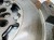 KOŁO DWUMASOWE SPRZĘGŁO AUDI A4 B8 A5 Q5 3.0 TDI 0B4105266H 7/26