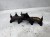 KOLEKTOR WYDECHOWY AUDI A4 B7 1.9 TDI 038253033E