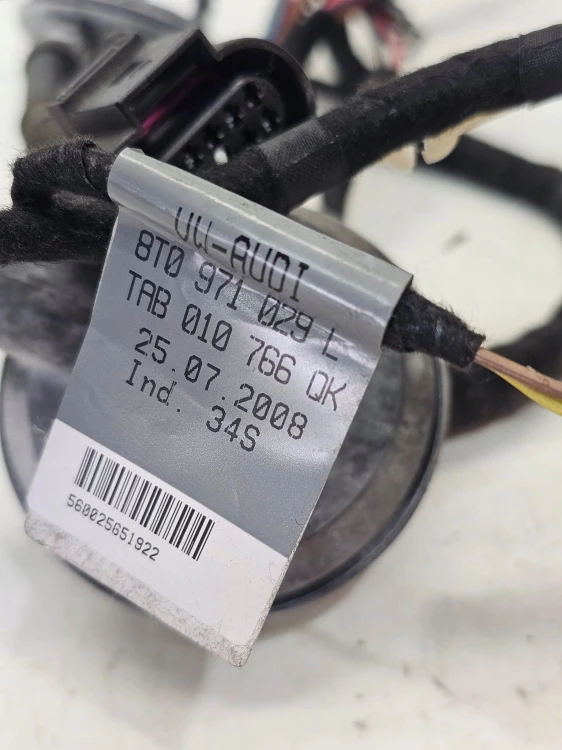 WIĄZKA DRZWI LEWY PRZÓD AUDI A5 8T COUPE 8T0971029L