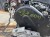 SILNIK KOMPLETNY AUDI VW SEAT SKODA 2.0 TDI CRL CRLB 131343 KM ORYGINAŁ !!!