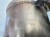 KATALIZATOR DPF FILTR CZĄSTEK STAŁYCH AUDI Q7 4M 3.0 TDI 4M0131765J