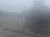 DRZWI LEWY TYŁ AUDI A4 B7 LY7G SEDAN AVANT KOMBI BEZ KOROZJI !!!