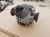 MOST DYFERENCJAŁ DYFER TYŁ AUDI A4 B8 A5 S5 MFS