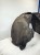 NADKOLE LEWY PRZÓD MATERIAŁOWE AUDI A5 8T 8T0821171H