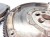 KOŁO DWUMASOWE DWUMAS AUDI VOLKSWAGEN SEAT SKODA 1.6 TDI 03L105266BT