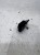 BLOKADA KIEROWNICY RYGIEL AUDI A3 8P VW SKODA SEAT 1K0953527C