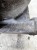 PODUSZKA SILNIKA L P AUDI A4 B8 A5 Q5 8K0199381PT