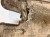 OSŁONA PŁYTA PODWOZIA LEWA AUDI A6 C8 4K0825207 107/26