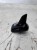 ANTENA LOTKA REKIN AUDI A4 B8 LIFT A6 C7 A7 4G0035503E LY9B