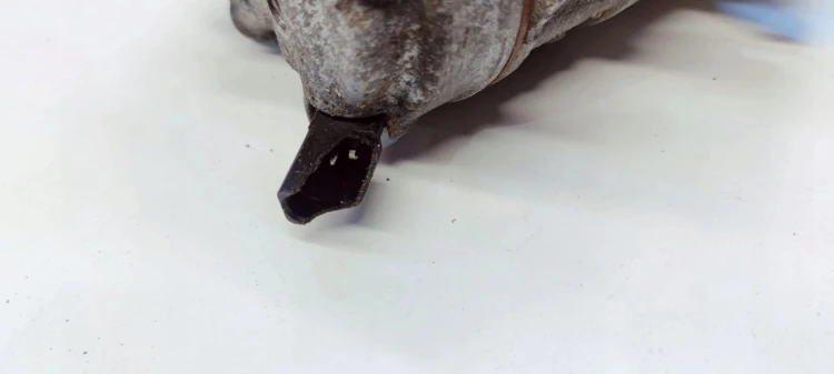 SPRĘŻARKA KOMPRESOR KLIMATYZACJI AUDI A4 B9 A5 8W 4M0816803