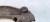 MOCOWANIE AMORTYZATORA LEWE AUDI A4 B8 A5 8T Q5 A6 A7 8K0413037L