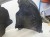 NADKOLE MATERIAOWE PRAWY PRZÓD AUDI A6 C8 4K0821172