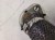 RURA RURKA EGR AUDI A4 A5 A6 A7 3.0 TD 059131530T