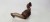 RURA RURKA SPALIN EGR AUDI VW 2.0 TDI 1K0253120B