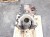 BLOK SILNIKA AUDI A4 B8 A5 8T 2.0 TDI CAG 03L023A