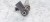 WTRYSKIWACZ WTRYSK AUDI VW CR 2.0 TDI 04L130277AE