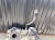 BAK ZBIORNIK PALIWA AUDI A4 B8 A5 8T 8T0201021FT 2.0 DIESEL