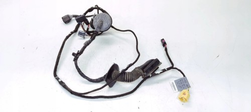 WIĄZKA DRZWI LEWY PRZÓD AUDI A5 8T COUPE 8T0971029S