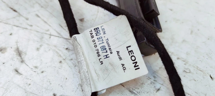 WIĄZKA DRZWI LEWY LUB PRAWY TYŁ AUDI Q5 8R0971687H
