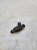 WTRYSK WTRYSKIWACZ AUDI VW SEAT 1.6 MPI 06A906031BT