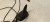 ANTENA LOTKA REKIN AUDI A6 C6 LIFT 4F5035503P MAT