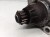 ROZRUSZNIK AUDI SEAT 1.4 1.8 TFSI 0AM911023R *32*