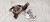 POMPA OLEJU AUDI VW SEAT 1.4 TFSI CAX 03C105Q