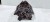 BLOK SILNIKA AUDI A6 C7 A7 A8 2.8 FSI CHV 06E103023AT 06E103032AQ