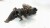 TURBOSPRĘŻARKA TURBO AUDI A3 VOLKSWAGEN SEAT SKODA 1.8 TSI TFSI 06J145701J