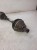 PÓŁOŚ LEWA PRZEDNIA AUDI VW SEAT 1K0407271EE 1E EJ
