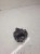 POMPA WSPOMAGANIA AUDI A6 C6 A8 FSI TDI 4F0145156C