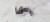 ZAWIAS DRZWI PRAWY AUDI A1 8X Q3 8U A3 8V 8X0831404B