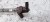 WTRYSKIWACZ WTRYSK AUDI VW CR 2.0 TDI 04L130277P