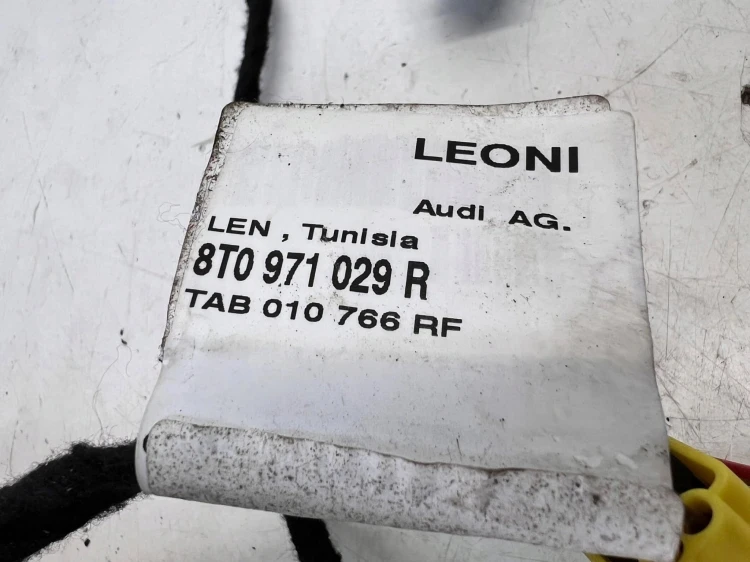 WIĄZKA DRZWI LEWY PRZÓD AUDI A5 8T COUPE 8T0971029R