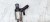 WTRYSK WTRYSKIWACZ AUDI VW 1.8 TFSI 06L906036C