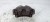 ZACISK HAMULCOWY PRAWY AUDI A4 B9 A5 8W06 0316