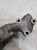 ZAWÓR EGR AUDI A4 B6 B7 2.0 ALT 06B131817J