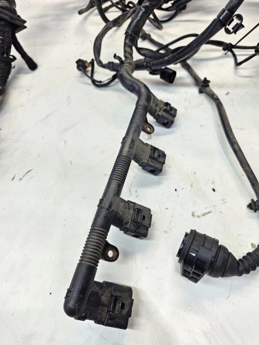 WIĄZKA INSTALACJA SILNIKA AUDI A6 C6 2.0 TFSI 4F1971072HP