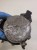 DODATKOWA POMPA WODY AUDI A6 C6 3.0 TFSI 4F0965567