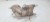 ZBIORNIK WYRÓWNAWCZY AUDI A6 C6 LIFT 4F0121403T