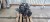 SILNIK KOMPLETNY AUDI A4 B8 A5 A6 SEAT EXEO 2.0 TDI 170KM * CAHA 5