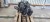 SILNIK KOMPLETNY AUDI A4 B8 A5 A6 SEAT EXEO 2.0 TDI 170KM * CAHA 5