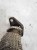 RURA RURKA EGR AUDI A6 A4 2.7 TDI 059131525AF