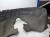 NADKOLE LEWY PRZÓD AUDI Q7 4L 4L0809961C MATERIAŁOWE