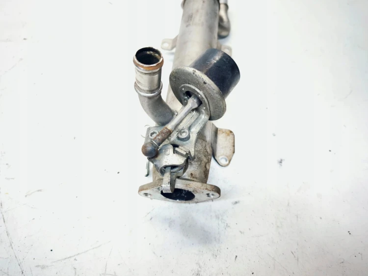 CHŁODNICA SPALIN EGR AUDI VOLKSWAGEN SEAT SKODA 2.0 TDI 03L131512B