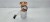 POMPA PALIWA Z BAKU AUDI Q3 8U VOLKSWAGEN SEAT SKODA 2.0 TDI 5N0919088M