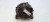 ALTERNATOR AUDI Q5 8R VOLKSWAGEN SEAT SKODA 2.0 TDI 150A 03G903016F