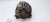 ALTERNATOR AUDI Q5 8R VOLKSWAGEN SEAT SKODA 2.0 TDI 150A 03G903016F