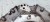 OBUDOWA ROZRZĄDU AUDI A6 C7 A7 A8 D3 2.8 FSI CHV 06E103173